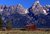 Teton Barn