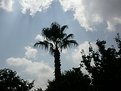 Picture Title - ?