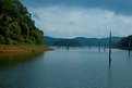 Picture Title - Periyar National Park