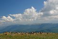 Picture Title - Cows and clouds