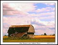Picture Title - Late Summer on the Alberta Prairie!