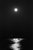 Moon Light on the Chesapeake