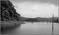 Picture Title - Periyar National Sanctuary