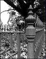 Picture Title -   Steel Fence around old graves