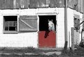 Picture Title - barn door