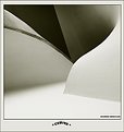 Picture Title - Curves (Masahiko Shibata)