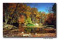 Picture Title - Pennypack Park (A774-21)