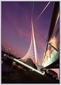 Picture Title - Calatrava Bridge