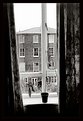 Picture Title - - Memory and the Window-