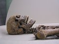 Picture Title - Memento Mori, or life after death