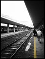 Picture Title - Yellow Line