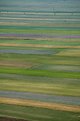 Picture Title - Castelluccio's fields