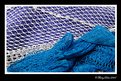Picture Title - Fishnet