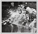 Picture Title - Bath of foam (Jorge Vasconcelos)
