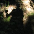 Picture Title - Shadow I
