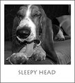 Picture Title - Sleepy head