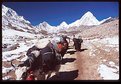 Picture Title - Trekking to Everest