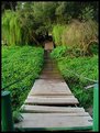 Picture Title - Wooden Bridge