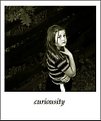 Picture Title - Curiousity