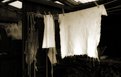 Picture Title - Drying