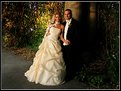 Picture Title - .....