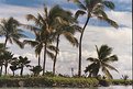 Picture Title - kauai lagoon