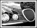 Picture Title - New Jaguar Front