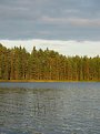 Picture Title - Sky - forest - water