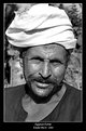 Picture Title - Egyptian Farmer