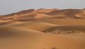 Picture Title - desert