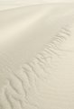 Picture Title - curves along a dune