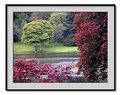 Picture Title - autumn by the lake