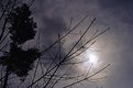 Picture Title - Moody