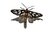 Mystery Bug