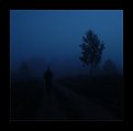 Picture Title - lost in fog 