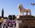 Picture Title - Lion - Westminster Bridge guard, London