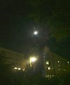 Picture Title - moon in tree