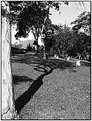 Picture Title - Shadow