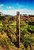 Experiment in Rule of Thirds