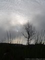 Picture Title - Fog and  Sky
