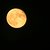 Summer Moon