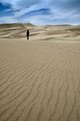 Picture Title - Sand Walker