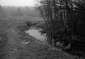 Picture Title - MoodWalk