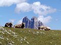 Picture Title - Il doppio trio