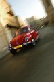 Picture Title - red beetle