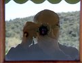 Picture Title - Self-portrait in a Window