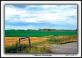 Picture Title - Alberta Landscape