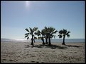 Picture Title - La Playa Desierta