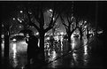 Picture Title - Rainy Avenue