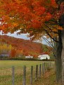 Picture Title - Autumn colors in Quebec, Canada